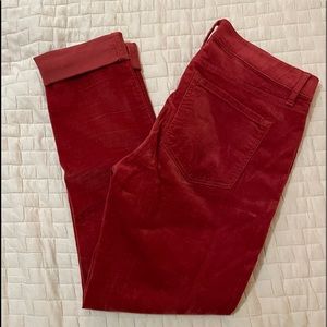 Loft modern skinny velvet jeans size 6 NWOT